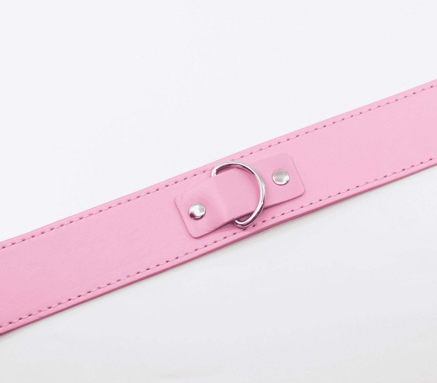 Berlin Baby BDSM Play Unlined PU Collar and Lead Collars and Leads