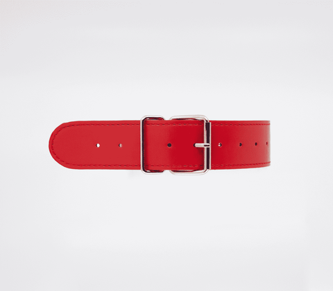 Berlin Baby BDSM Play Unlined PU Collar and Lead - Collars and Leads
