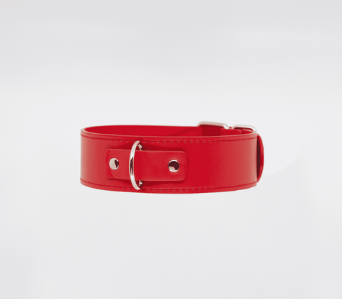 Berlin Baby BDSM Play Unlined PU Collar and Lead - Collars and Leads