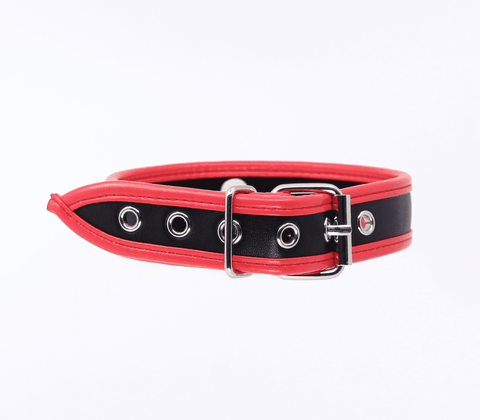 Berlin Baby Thin Padded Faux Leather Bondage Collar - Collars and Leads