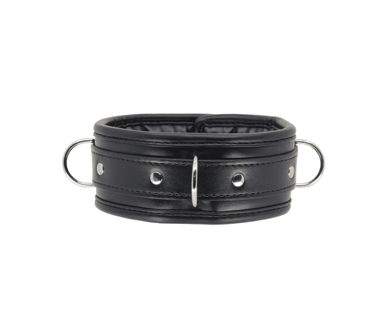 Berlin Baby Padded BDSM Collar With Lockable Buckle - Collars and Leads