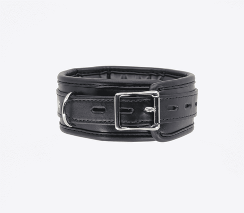 Berlin Baby Padded BDSM Collar With Lockable Buckle - Collars and Leads