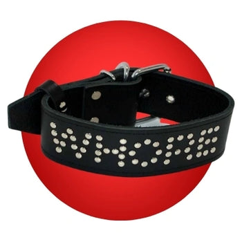 Bondage Collars