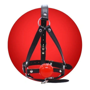 Bondage Gags