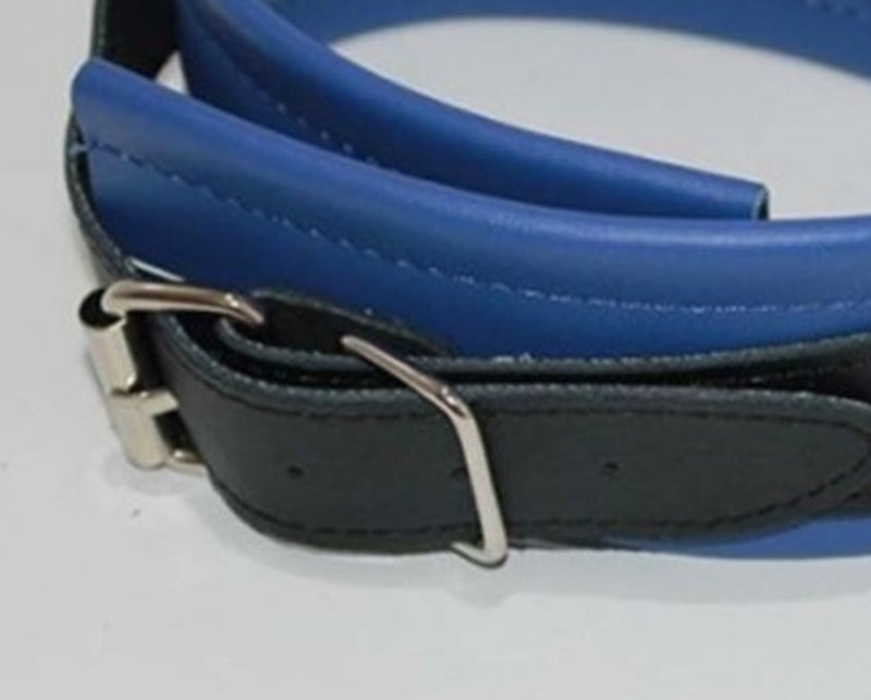 Dominance Blue Leather Lust Collar with O-Ring Collars and Leads