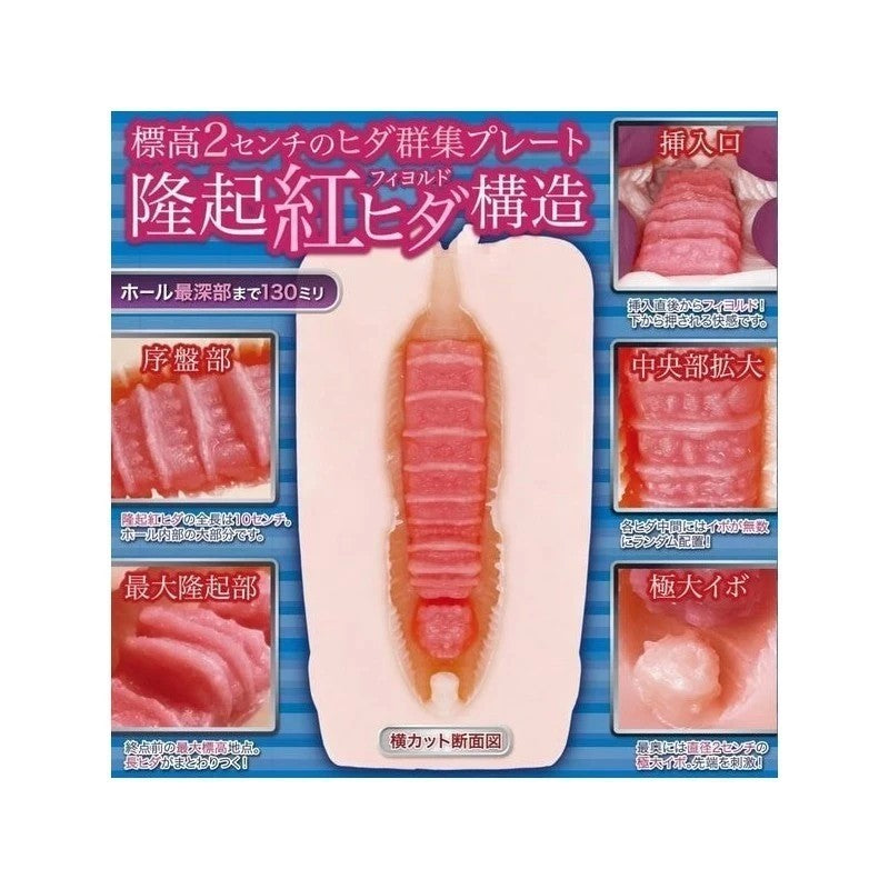 EXE Two-Layered Japanese Male Stimulator - Intense Pleasure Awaits Masturbators and Strokers