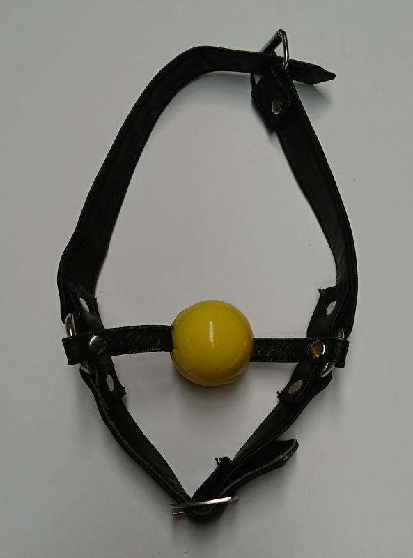 Fetish Toy Box Ball Gag with Face Harness Bondage Gags and Bits