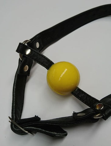 Fetish Toy Box Ball Gag with Face Harness - Bondage Gags and Bits