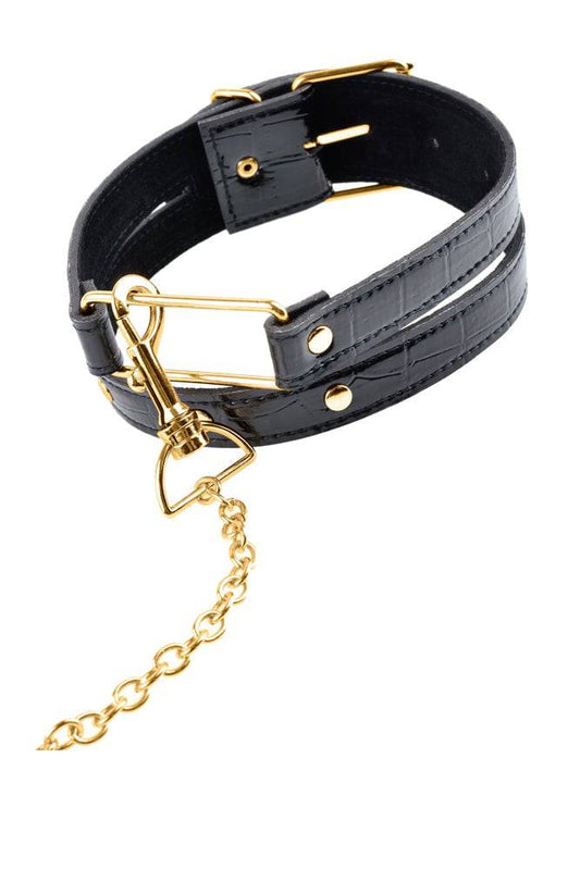 Fetish Fantasy Gold Bondage Collar and Leash Set - Collars and Leads