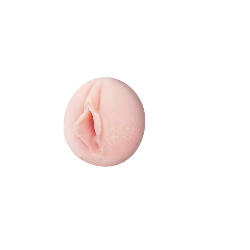 Fleshlight Girl Anikka Albrite Realistic Male Masturbator Device Realistic Butts And Vaginas