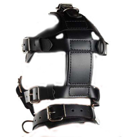 Head Harness & Muzzle Light - Bondage Gags and Bits