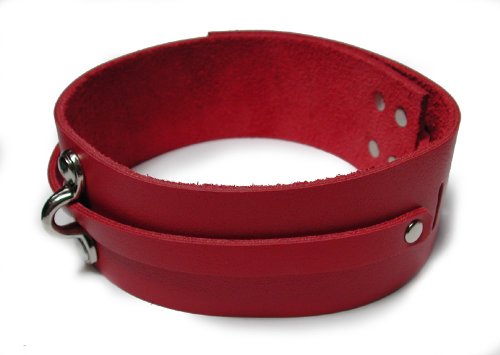 KinkLab Bondage Basics Leather Collar Collars and Leads