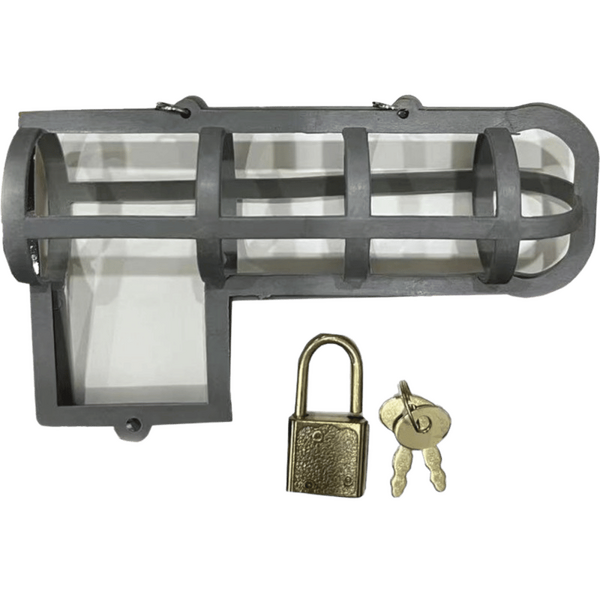 Hott Products Cock Block Pecker Chastity Cage Party Gifts and Novelties