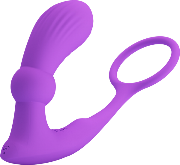 Pretty Love Warren USB Rechargeable 12 Function Prostate Massager Purple Prostate Toys