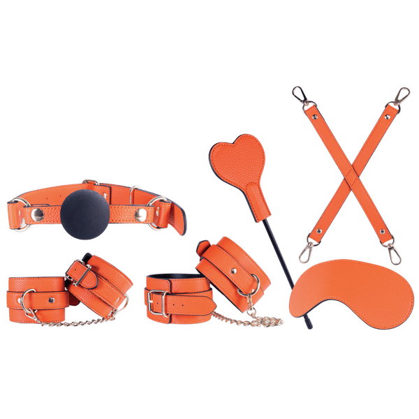 Excellent Power Sovereign Luxury Bondage Set Bondage Kits