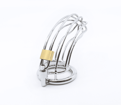 Love In Leather Bird Cage Style Male Chastity Device - Male Chastity