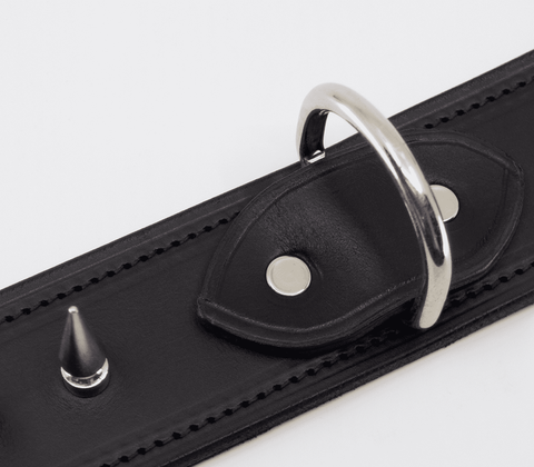 Love In Leather BDSM Collar With Long Spikes - Collars and Leads