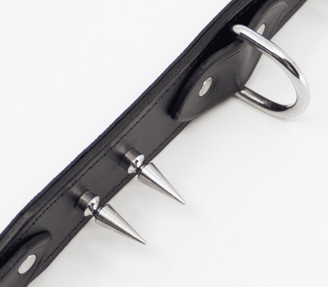 Love In Leather BDSM Collar With Long Spikes - Collars and Leads