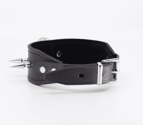 Love In Leather BDSM Collar With Long Spikes - Collars and Leads