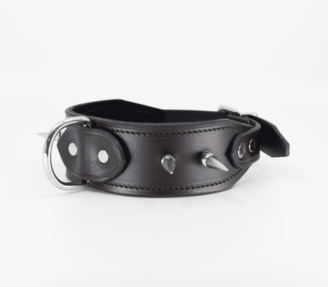 Love In Leather BDSM Collar With Long Spikes - Collars and Leads