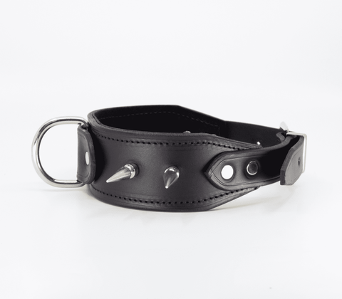 Love In Leather BDSM Collar With Long Spikes - Collars and Leads