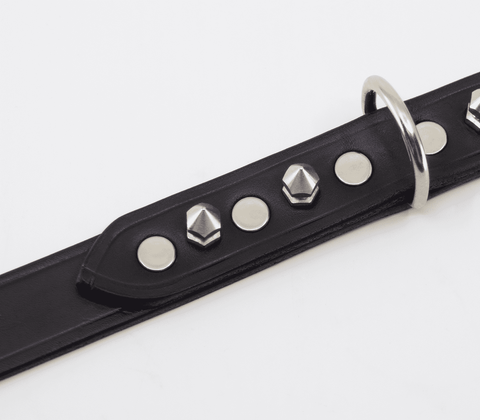 Love In Leather BDSM Collar With Short Dog Spikes - Collars and Leads