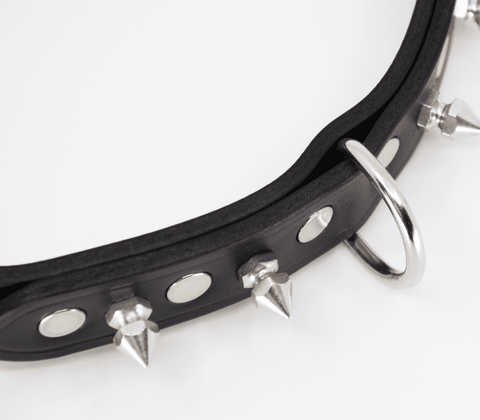 Love In Leather BDSM Collar With Short Dog Spikes - Collars and Leads