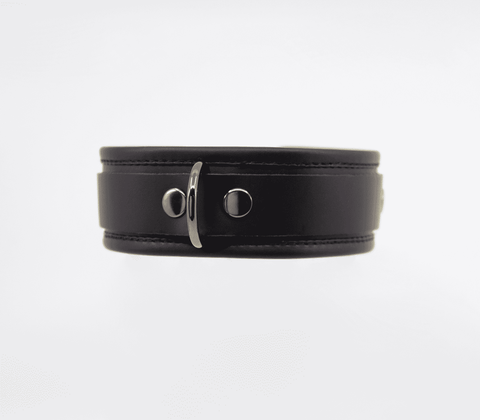 Love In Leather Fetish Collar with Coloured Hardware - Collars and Leads