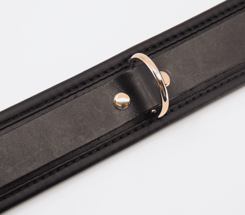 Love In Leather Fetish Collar with Coloured Hardware - Collars and Leads