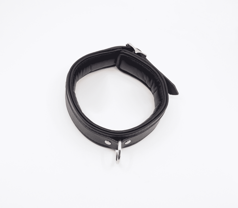 Love In Leather Fetish Collar with Coloured Hardware - Collars and Leads
