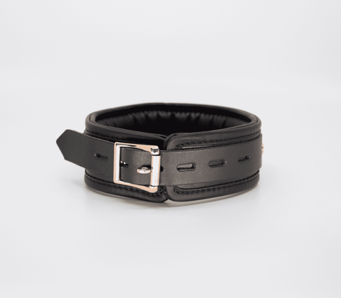 Love In Leather Fetish Collar with Coloured Hardware - Collars and Leads