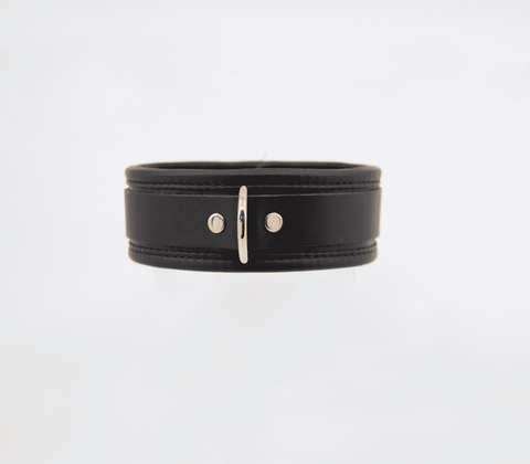 Love In Leather Fetish Collar with Coloured Hardware - Collars and Leads