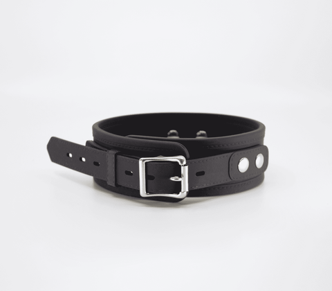 Love In Leather Premium Silicone Collar & Lead Set - Collars and Leads