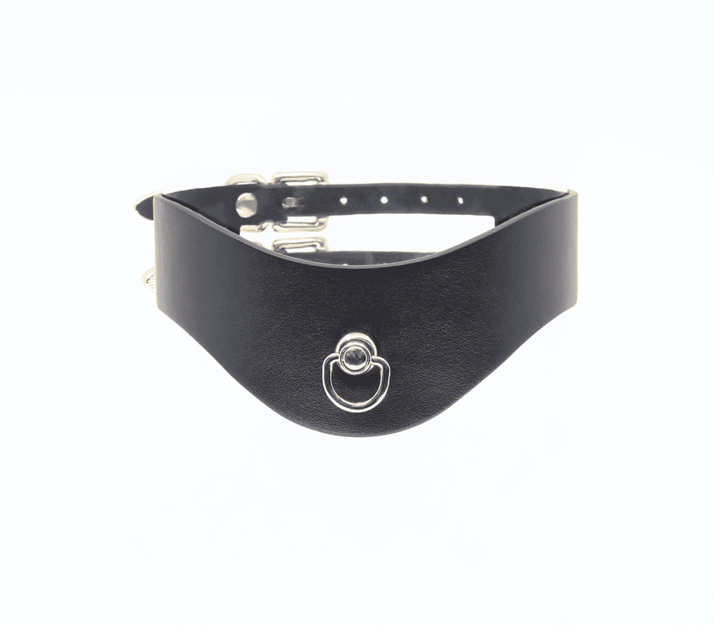 Love In Leather Double Strap Bondage Collar Collars and Leads