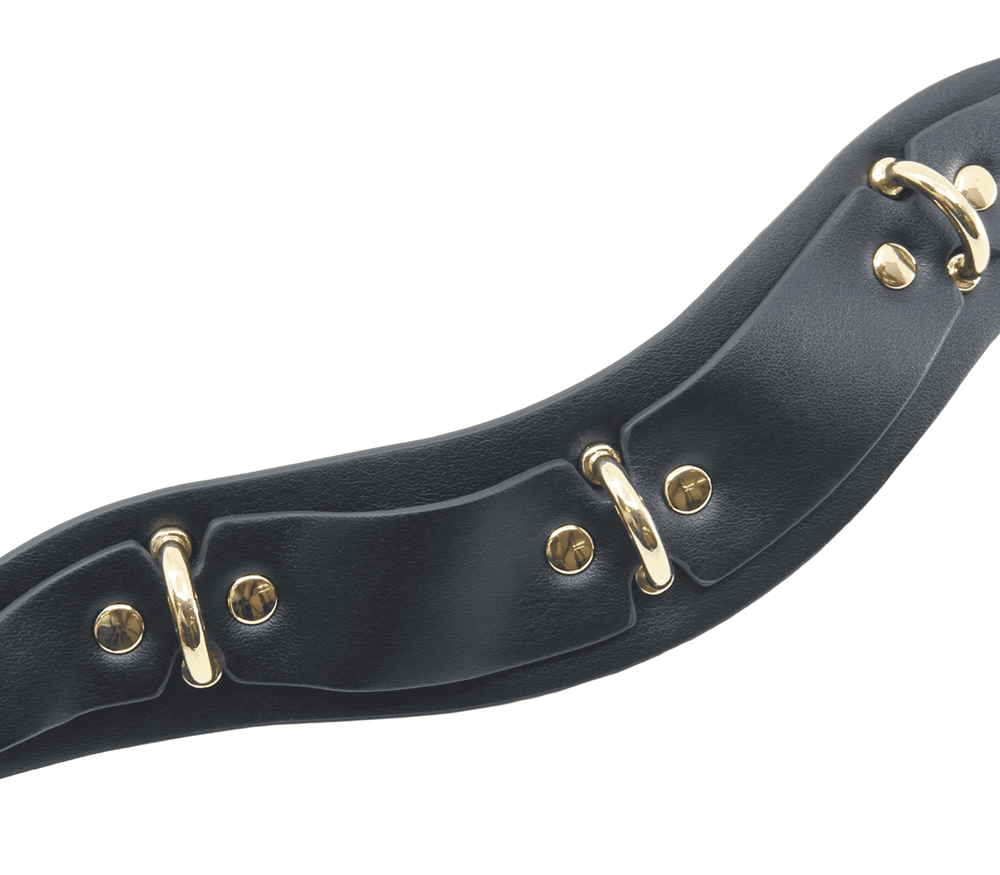 Love In Leather Posture BDSM Collar With Rings Collars and Leads