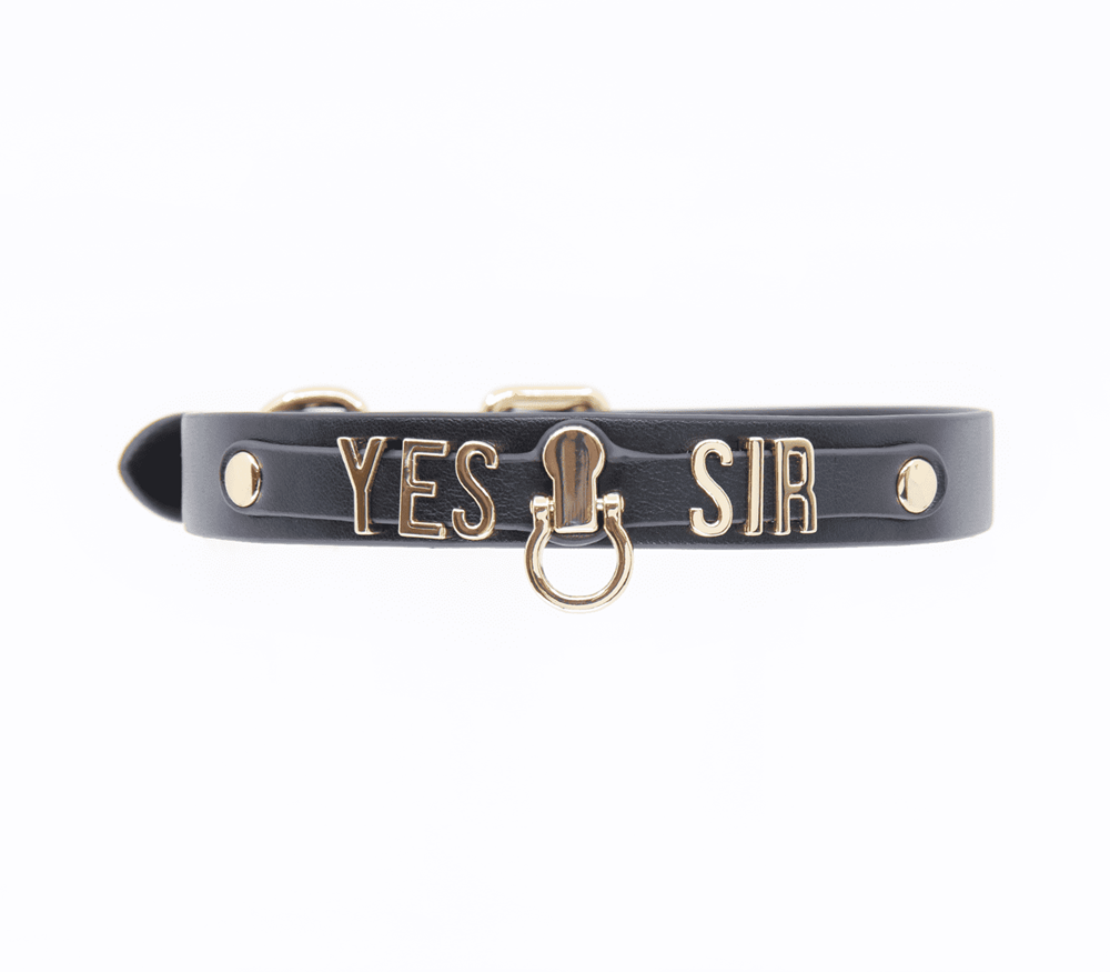Love In Leather Yes Sir BDsM Play Collar Collars and Leads