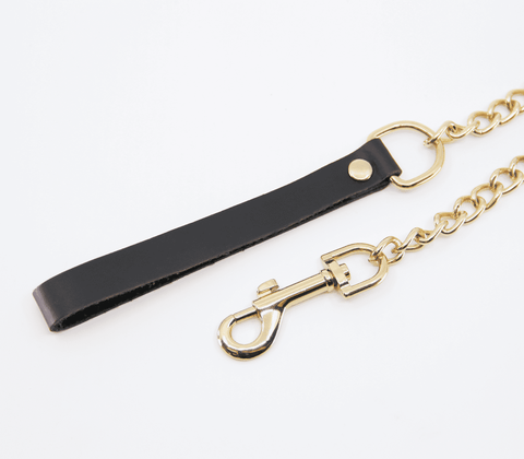 Love In Leather BDSM Chain Lead With Coloured Hardware - Collars and Leads
