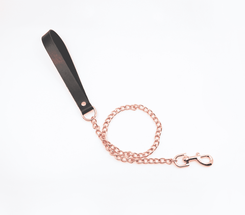 Love In Leather BDSM Chain Lead With Coloured Hardware - Collars and Leads