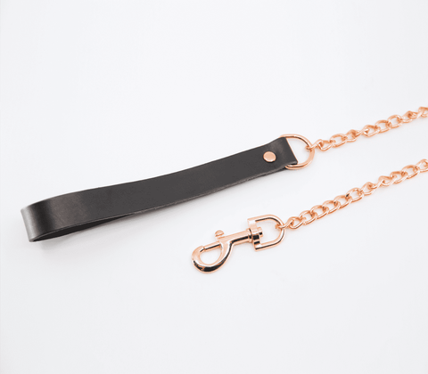 Love In Leather BDSM Chain Lead With Coloured Hardware - Collars and Leads