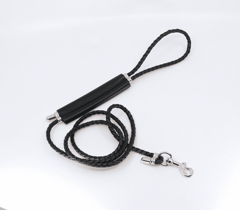 Love In Leather Braided Lead With Coloured Hardware - Collars and Leads