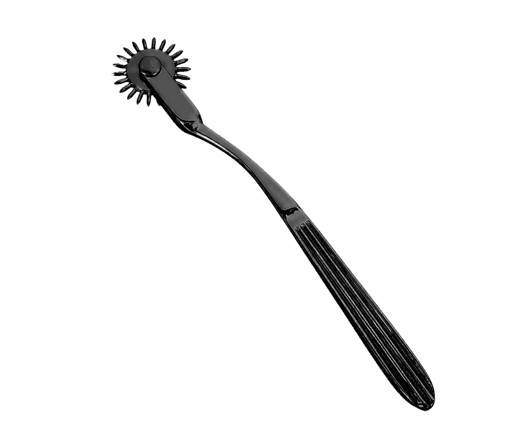 Love In Leather Bondage Play Wartenberg Wheel Dental and Clinical