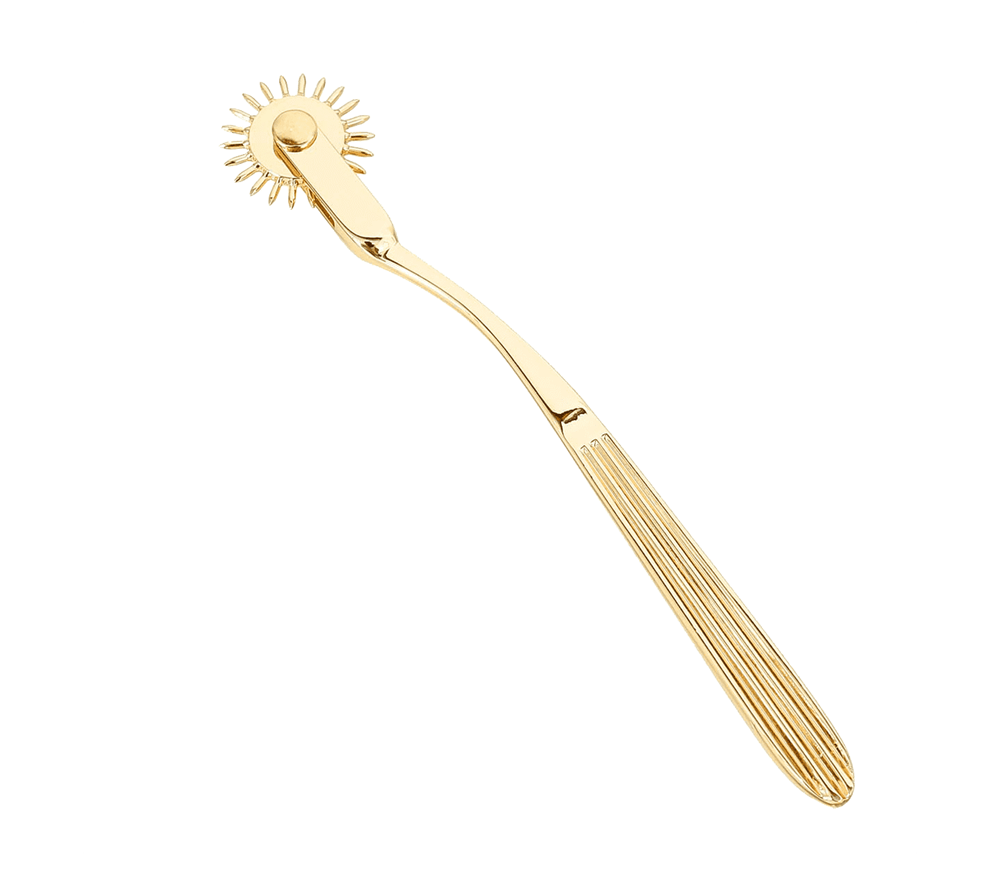 Love In Leather Bondage Play Wartenberg Wheel Dental and Clinical