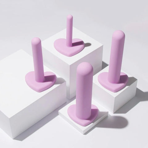 Blush Novelties Wellness Vaginal Dilators Set of 4 Sizes Purple - Pussy And Clit Toys