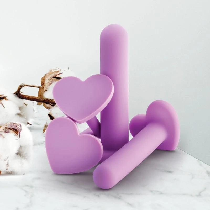 Blush Novelties Wellness Vaginal Dilators Set of 4 Sizes Purple Pussy And Clit Toys