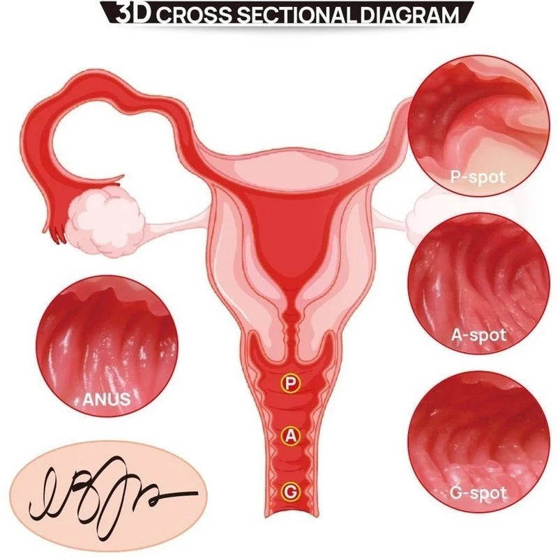 Kokos Vanilla Onahole Edn 4 Butt Vaginal & Anal Stroker Masturbators and Strokers