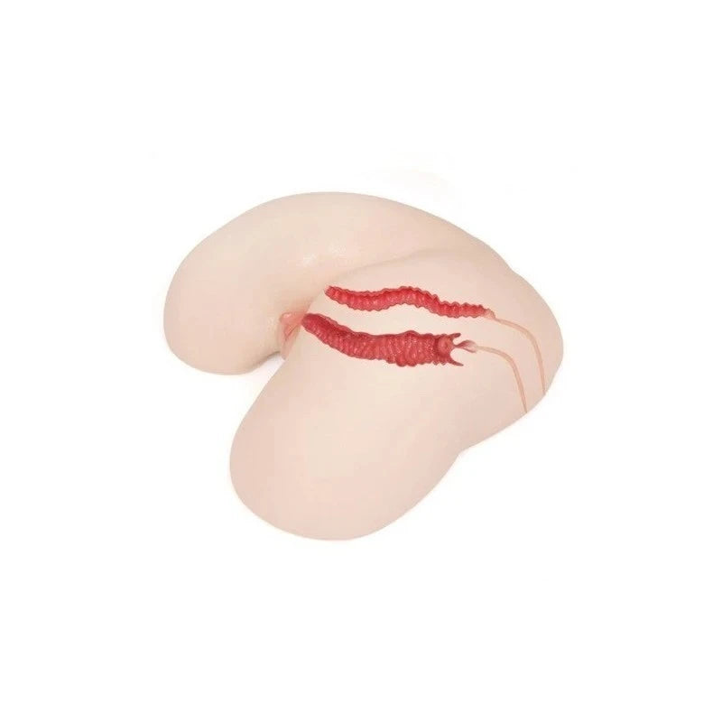 Kokos Maria Onahole 3 Ultra Realistic Male Masturbator Realistic Butts And Vaginas