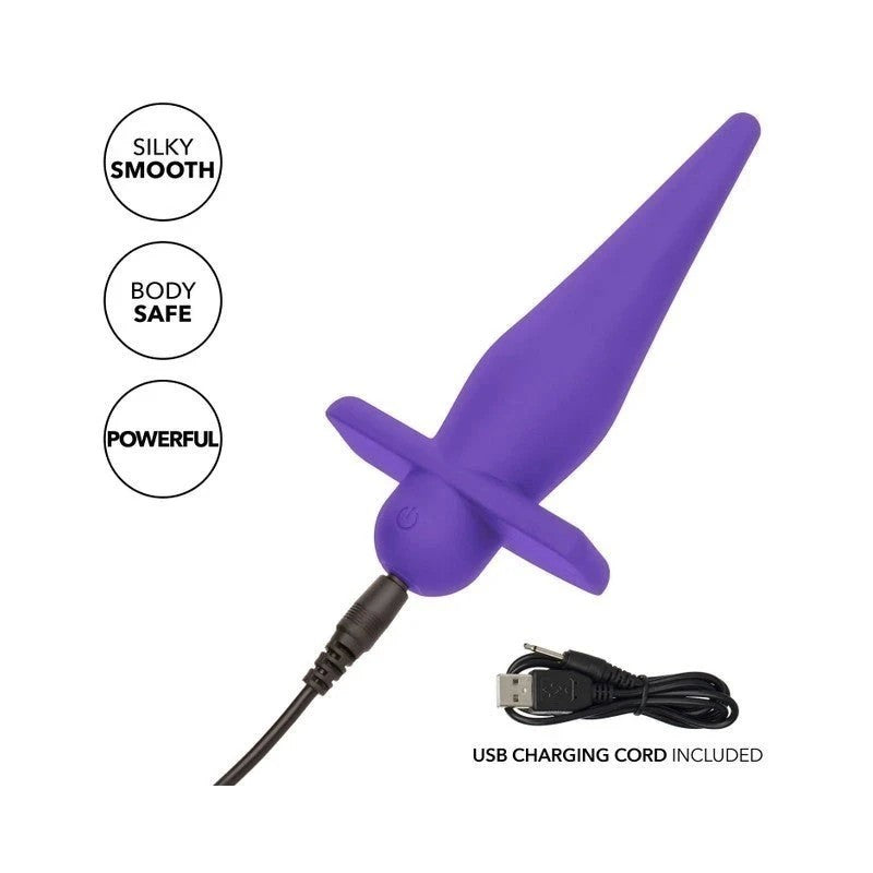 California Exotics Rechargeable High Intensity Anal Probe Purple Anal Vibrators