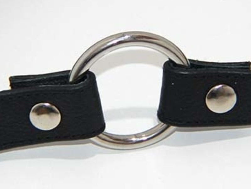 Leather Gag With Removable Metal O Ring Bondage Gags and Bits