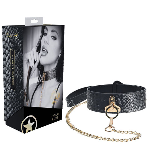 Premium Leather BDSM Collar & Leash - Iridescent Hardware - Bondage Kits