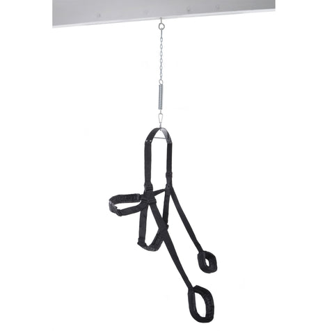 Fetish Fantasy Fully Adjustable Fantasy Sex Swing - Love Eggs and Kegel Exercisers